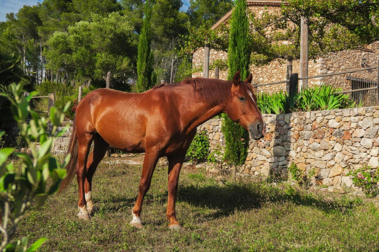 Masia Pou De La Vinya Сиджес Экстерьер фото